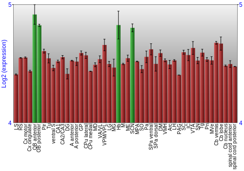 Multi-state expression graph