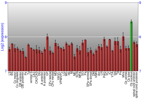 Multi-state expression graph