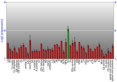 Multi-state expression graph