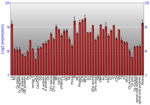 Expression graph