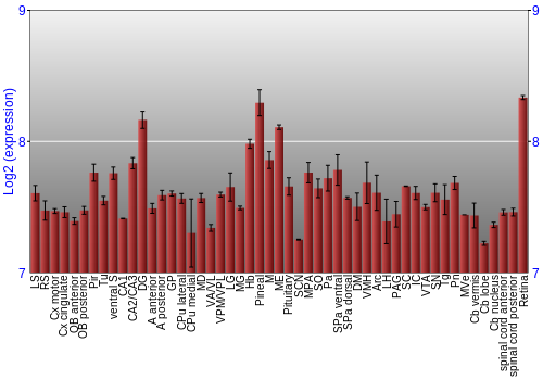 Expression graph