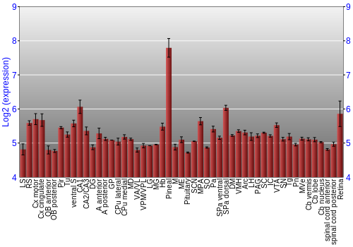 Expression graph
