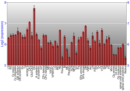 Expression graph