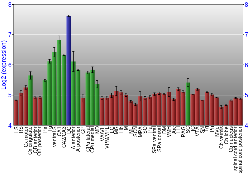 Multi-state expression graph