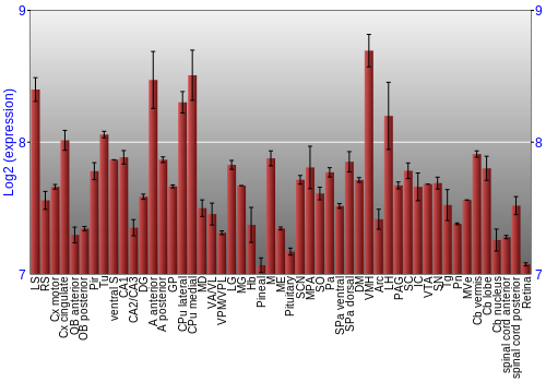 Expression graph