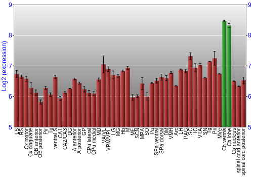 Multi-state expression graph
