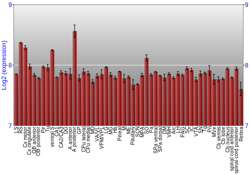 Expression graph