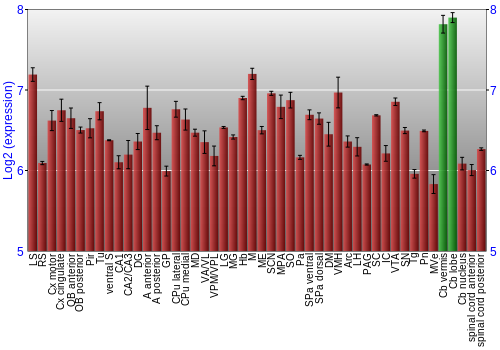 Multi-state expression graph