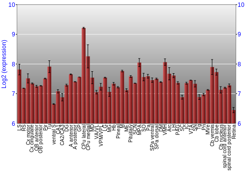 Expression graph