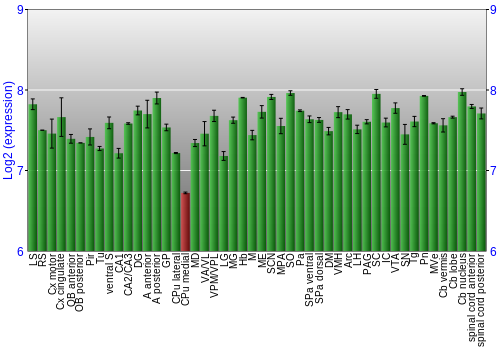Multi-state expression graph
