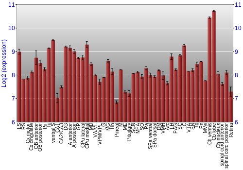 Expression graph