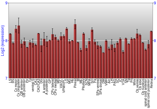 Expression graph