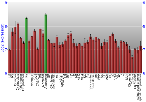 Multi-state expression graph