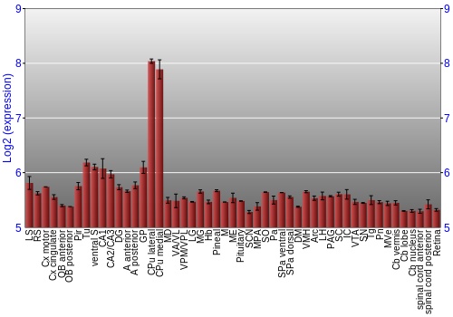 Expression graph