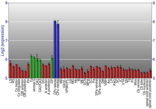 Multi-state expression graph