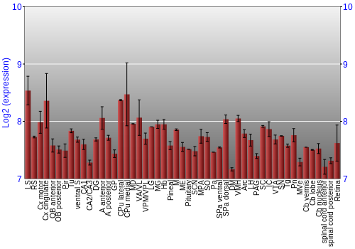 Expression graph
