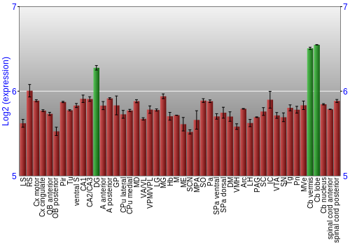 Multi-state expression graph