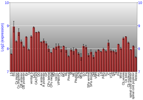 Expression graph