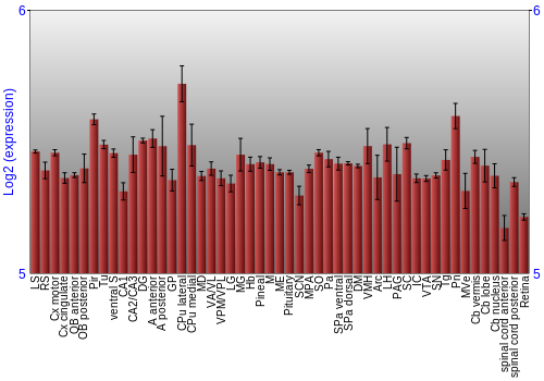 Expression graph