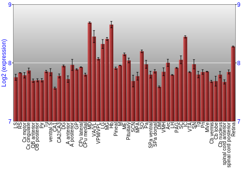 Expression graph
