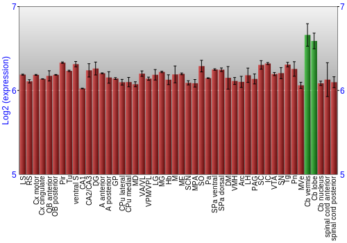 Multi-state expression graph