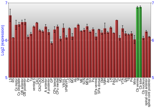 Multi-state expression graph