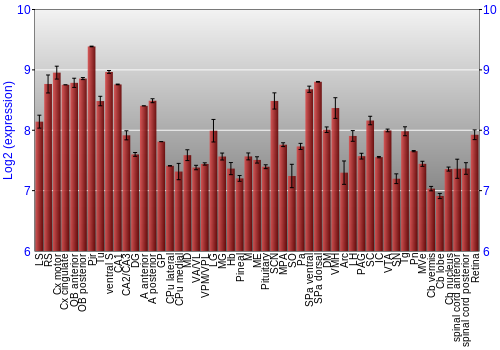 Expression graph