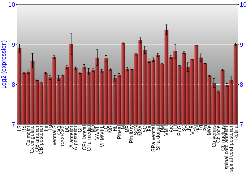 Expression graph