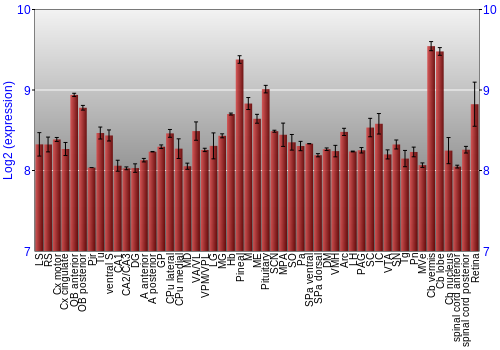 Expression graph