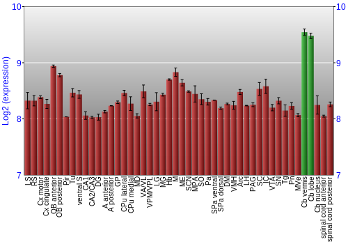 Multi-state expression graph