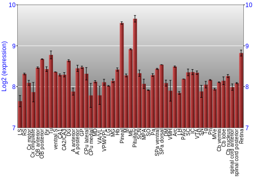 Expression graph