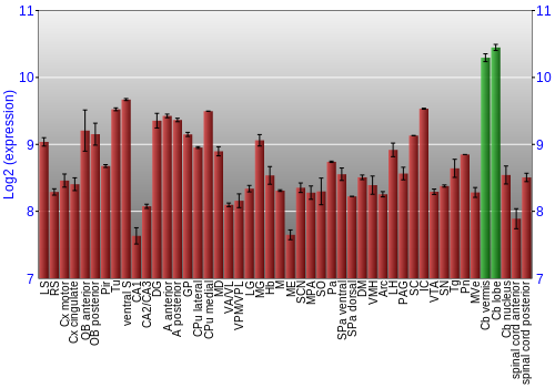 Multi-state expression graph