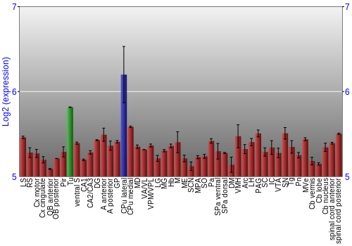 Multi-state expression graph