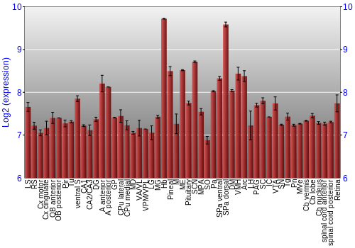 Expression graph