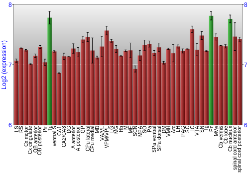 Multi-state expression graph