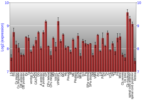 Expression graph