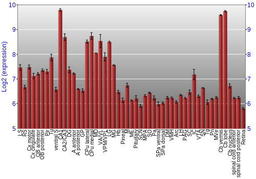 Expression graph