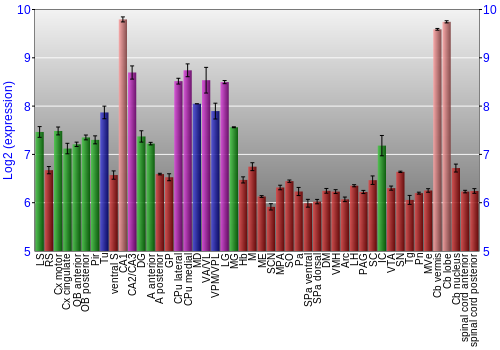 Multi-state expression graph