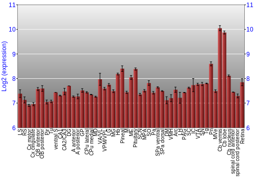 Expression graph