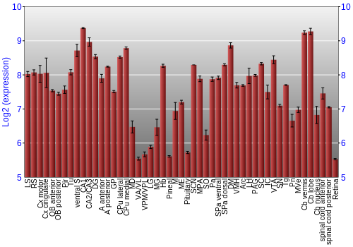 Expression graph