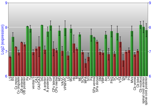 Multi-state expression graph