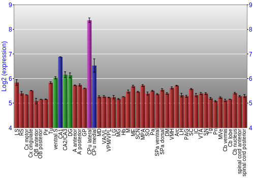 Multi-state expression graph