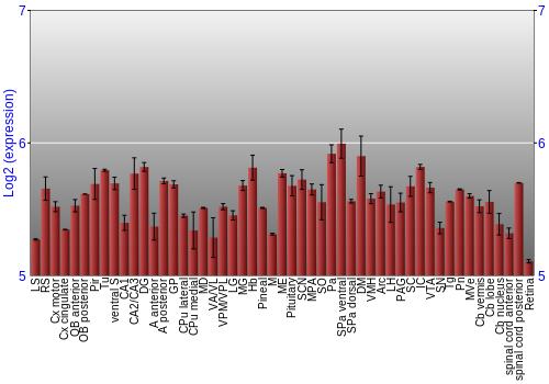 Expression graph