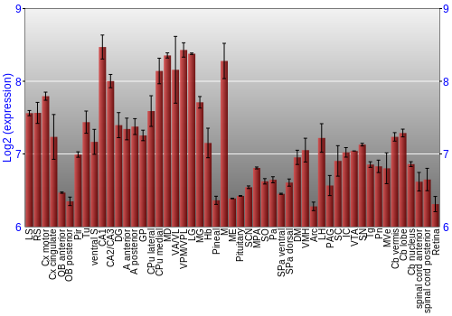 Expression graph