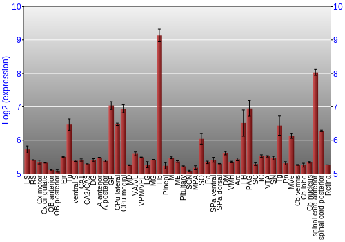 Expression graph
