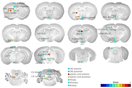 Expression map