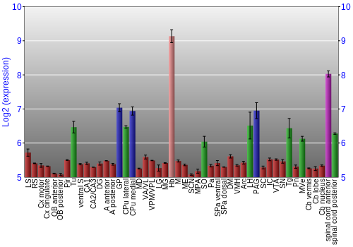 Multi-state expression graph