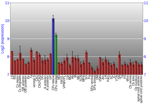 Multi-state expression graph