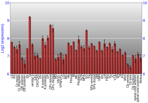 Expression graph