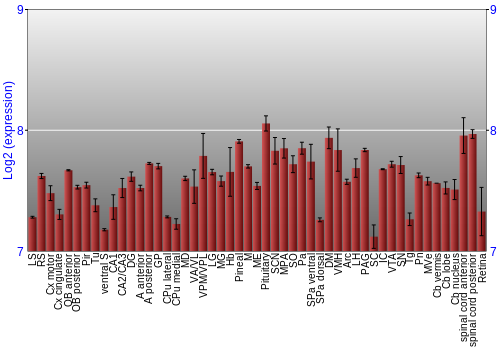 Expression graph